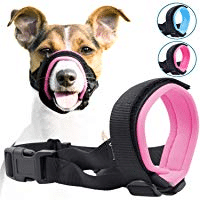 How to use a muzzle to correct nipping in dogs