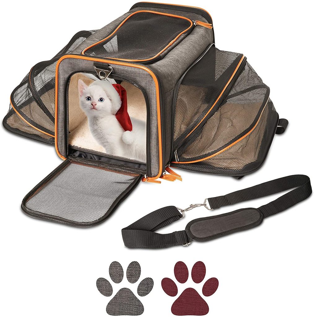 best carrier for Chihuahua - petpeppy carrier - ILoveChihuahua