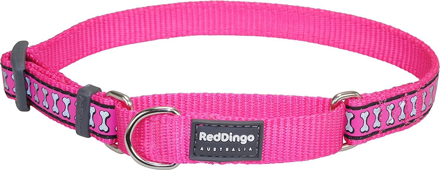 Red Dingo Martingale (Reflective Bones) Dog Collar