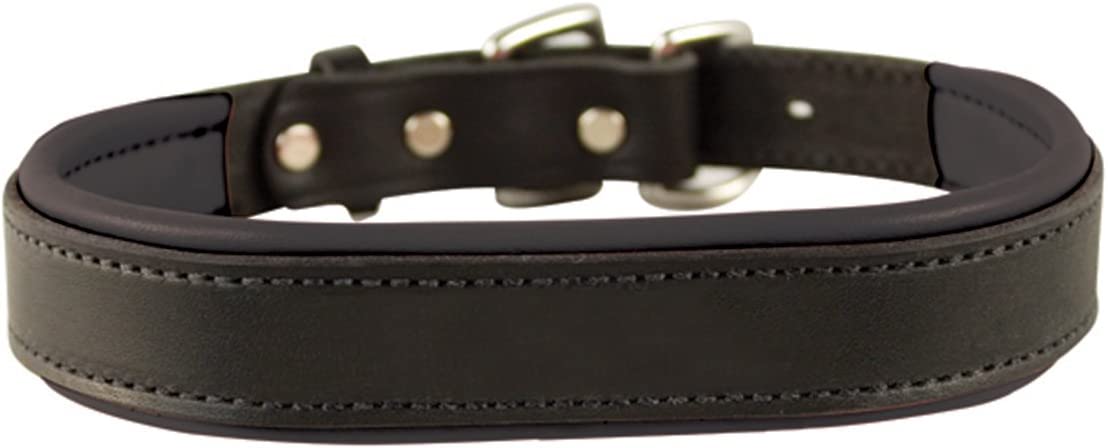 Perri's Padded Leather Dog collars for chihuahua puppies