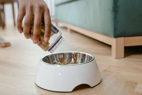 hand pouring dog food to a food bowl