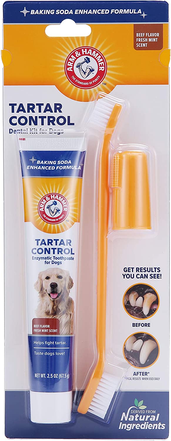 best toothbrush for Chihuahua