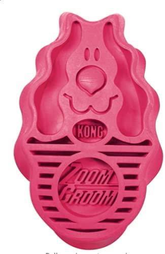 KONG Zoom Groom Brush