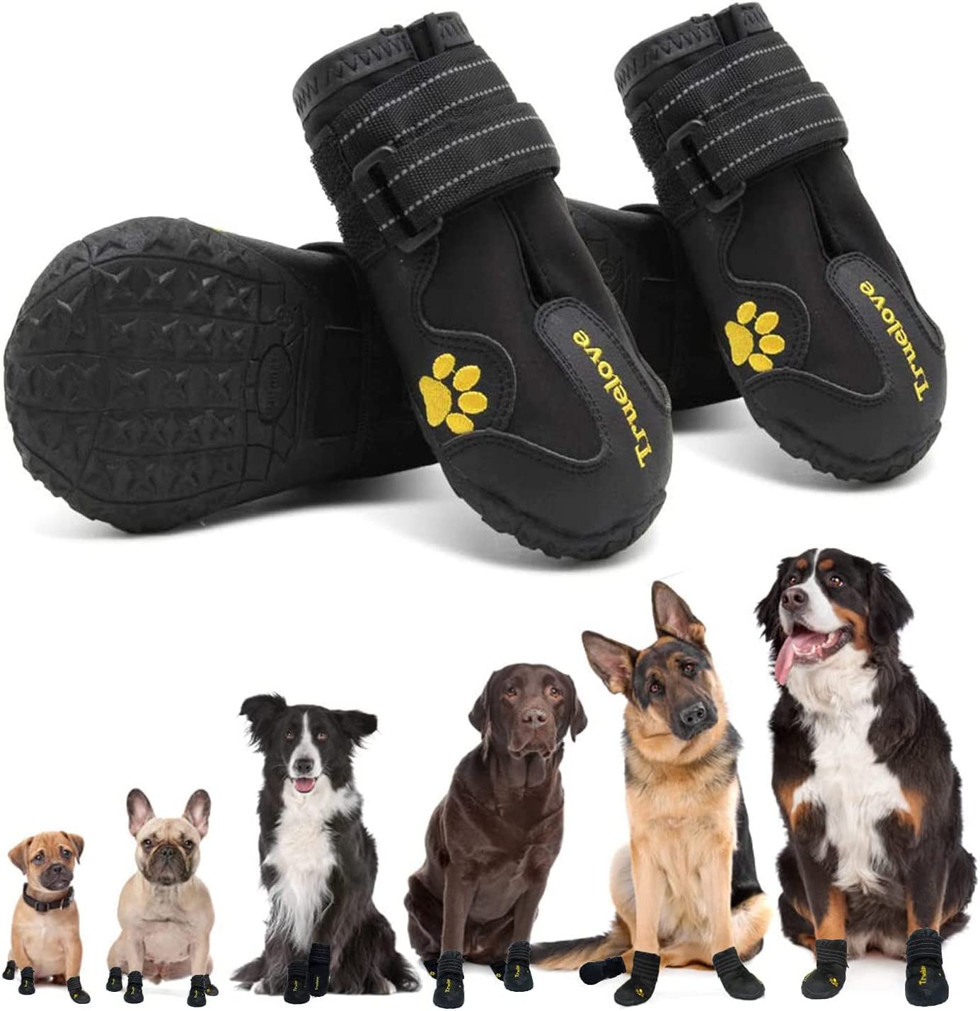 best chihuahua winter boots